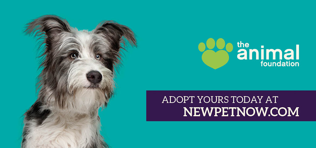 Connecting With Pet Parents Across Southern Nevada |